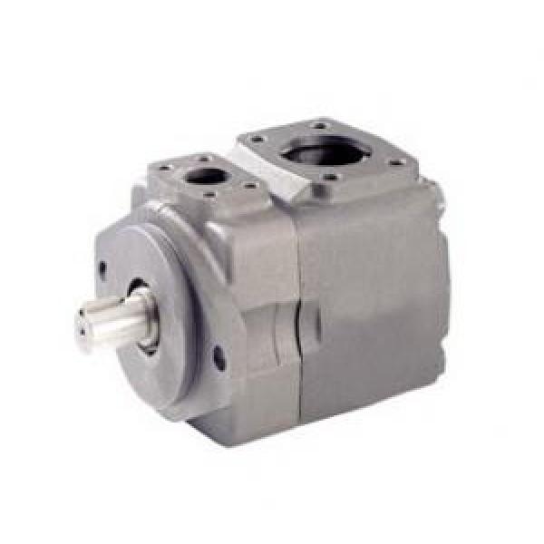 Rexroth Vane Pumps PVV1-1X/036RA15DMB #1 image