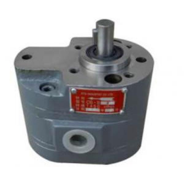 CB-B Dual Gear Pump CB-B2.5/4 #1 image