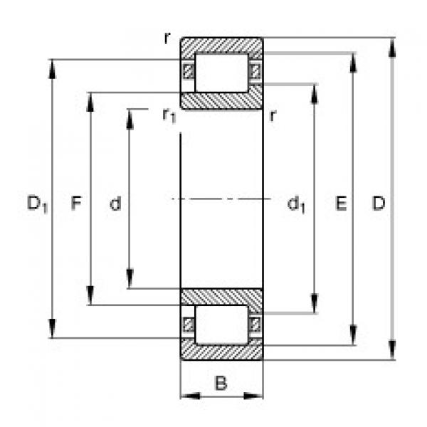 FAG Cylindrical roller bearings - NJ205-E-XL-TVP2 #1 image