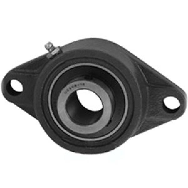 NTN UCFLX05-100D1 Flange Block Bearings #1 image