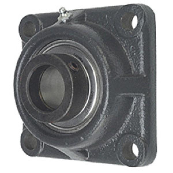 INA RCJO70 Flange Block Bearings #1 image