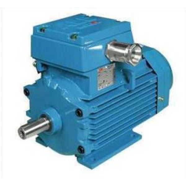 ABB M2JA132M6A Explosionproof/Flameproof Motors #1 image