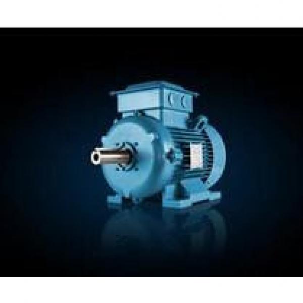 ABB M2BAX160MLB2 ExplosionProof Motors #1 image