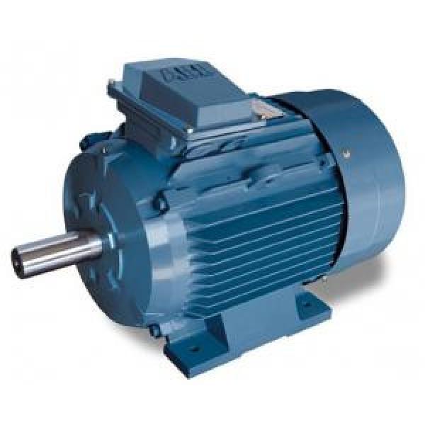 ABB M2QA100L4B Low-voltage Three-Phase Induction Motors #1 image