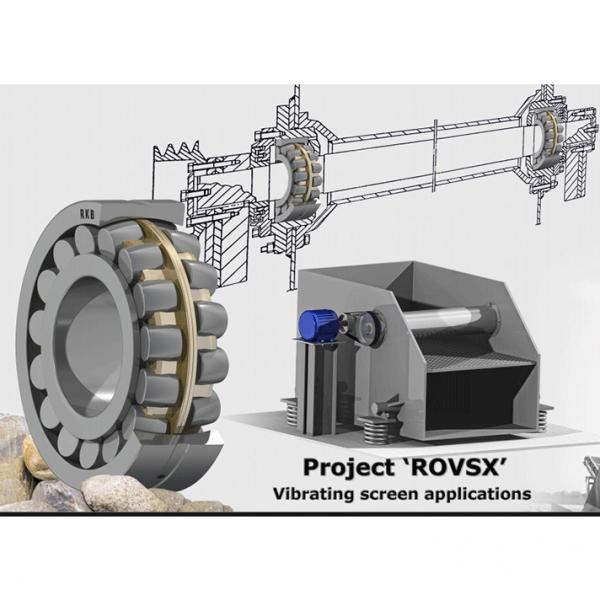 FAG Vibratory Machinery Roller Bearings NU2305-E-XL-TVP2 #1 image