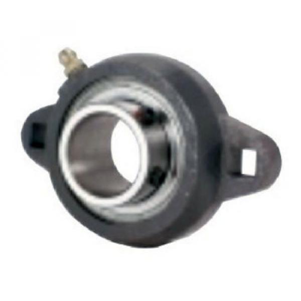 FHSLF207-20G Bearing Flange Narrow Steel 2 Bolt 1 1/4&#034; Inch Bearings Rolling #1 image