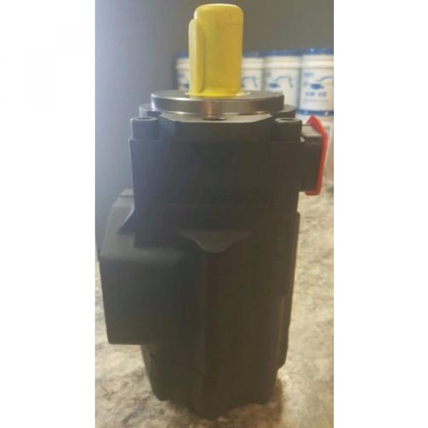 T6CC-031-031-1L50-C-1,0032-33-0690, Denison , Eco System, Hydraulic Pump #3 image