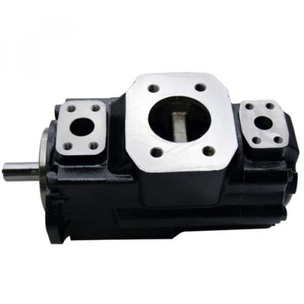 Double Hydraulic Vane Pump Replacement Denison T6CC-025-010-1R02-C100, 4.84 #2 image