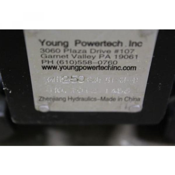 REBUILT YOUNG POWERTECH YMTE250-B2E-G1-SF-B HYDRAULIC PUMP 1-1/4&#034; SHAFT DIA. #3 image