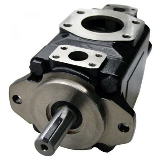 Double Hydraculic Vane Pump Replacement Denison T6DC-B17-B17-1L27-A1-00, 3.55 &amp; #1 image