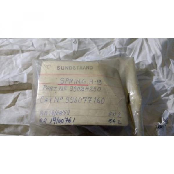 Sundstrand Spring H-13 Part Number 99084290 CAT 996077160 #1 image