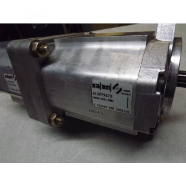 SALAMI Dual Hydraulic Gear Pump 3PB, 3PB46D-R55S3 and 3PB33D-R87S3 New NOS 46Cm3 #3 image