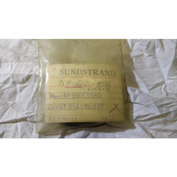 Sundstrand O-Ring 256-8307 Part Number 99053380 CAT 996036877 RR 19/00159 #1 image