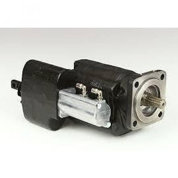 PARKER HANNIFIN GENUINE DUMP PUMPS #1 image