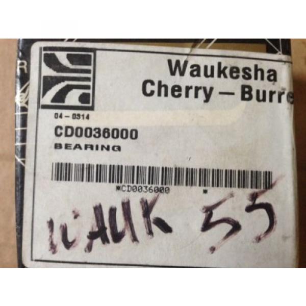 2 - Waukesha Cherry - Burrell CD003600 Radial Bearing #4 image