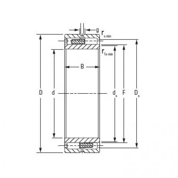 Timken NNU4076MAW33 #1 image